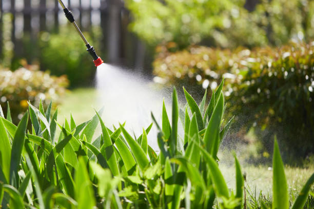 24/7 Emergency Termite Control experts in Telluride, CO