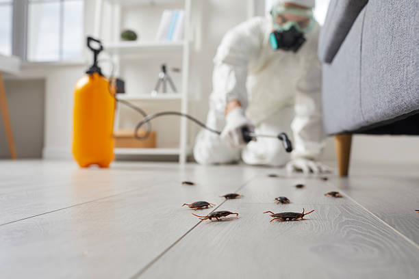 Trusted Termite Control service in Telluride, CO - Nex Pest Control