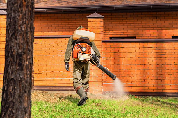 Trusted Bed Bug Control service in Telluride, CO - Nex Pest Control